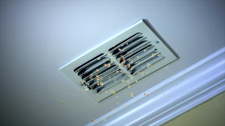 Best Residential Air Duct Cleaning  in Trussville, AL